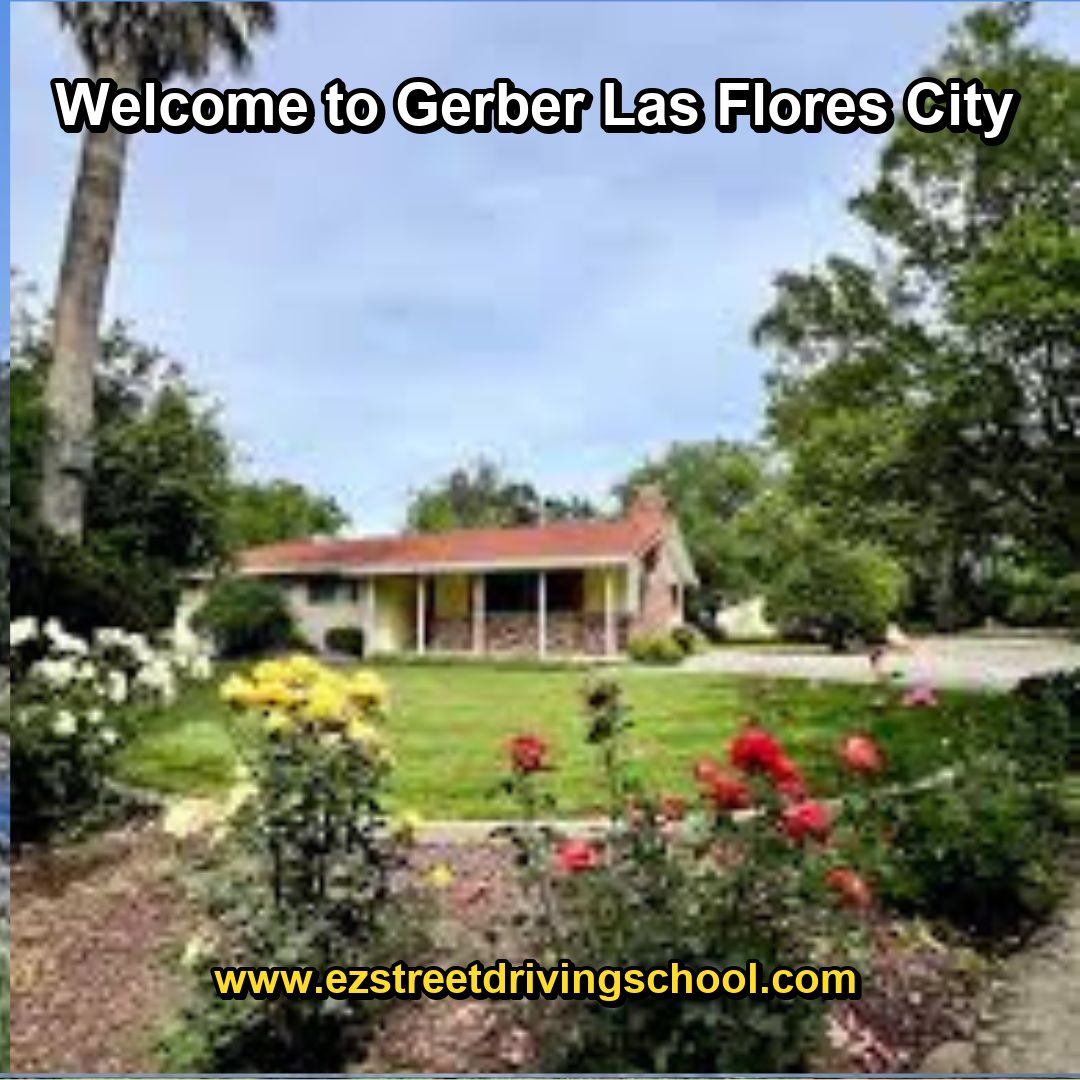 Driving Lessons in Gerber-Las Flores